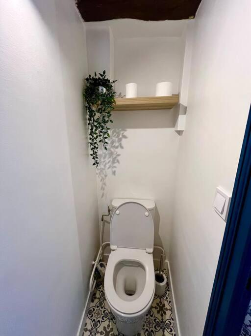 Appartement Cosy Hypercentre Place St Pierre Сомюр Экстерьер фото